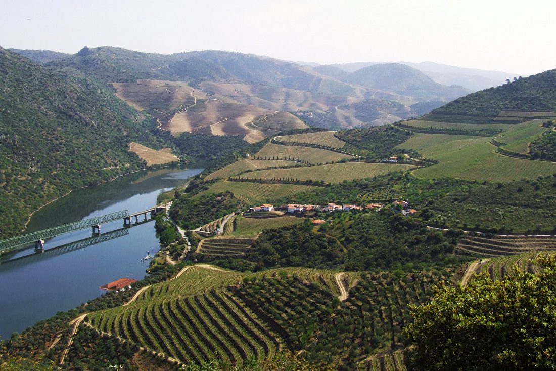 Nelson Carvalheiro Douro Valley 29